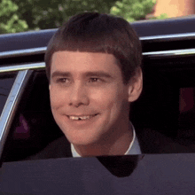 Pretty Bird Dumb And Dumber GIF