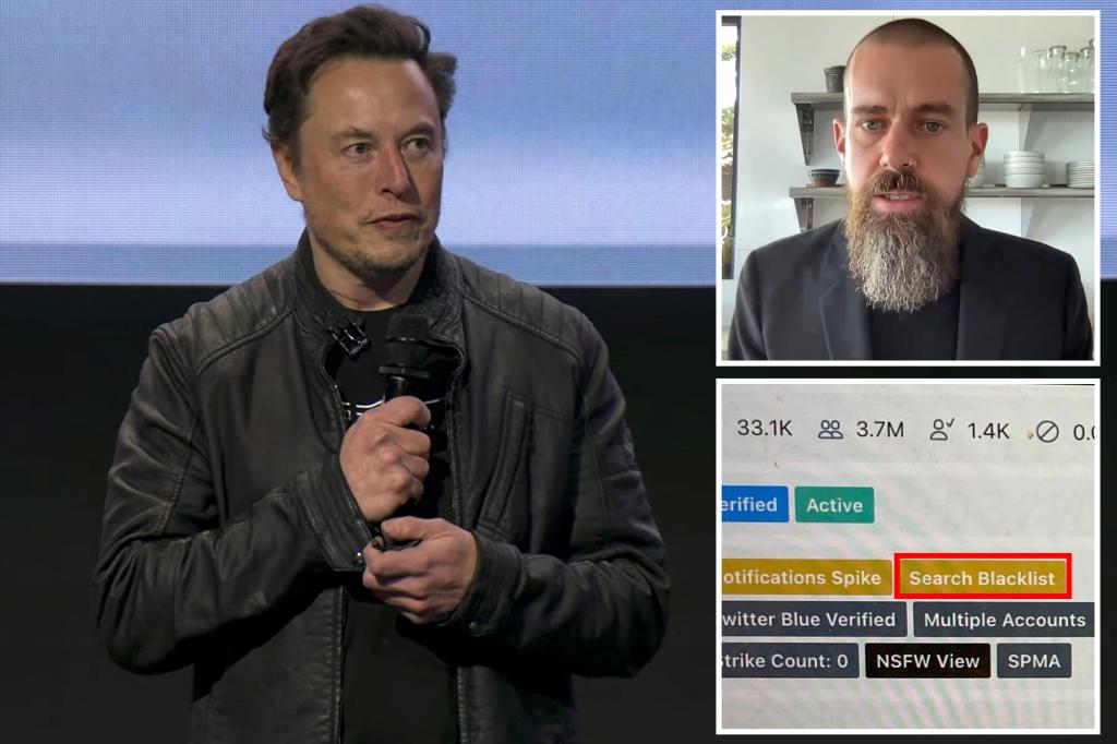 Musk says 'the inmates were running the asylum' at Twitter
