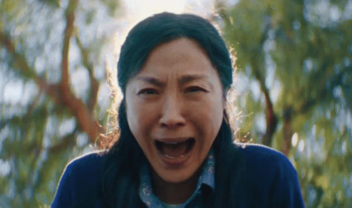 Everything Everywhere All At Once GIF - Everything Everywhere All At