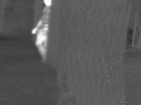 ezNVP8