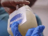 giphy