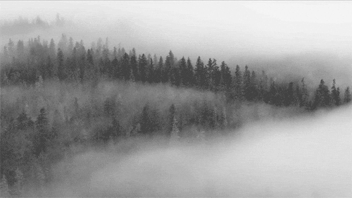 Fog GIF - Atmospheric Effect