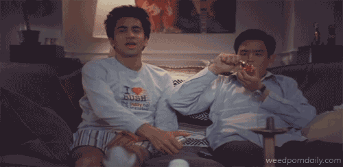 Lasting Impressions of Harold Kumar