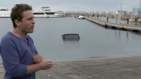 They Always Come Back For More GIF