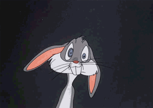 box bunny | Tag | PrimoGIF