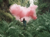 giphy