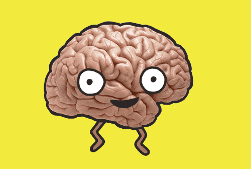 A vibrant celebration of brain functions