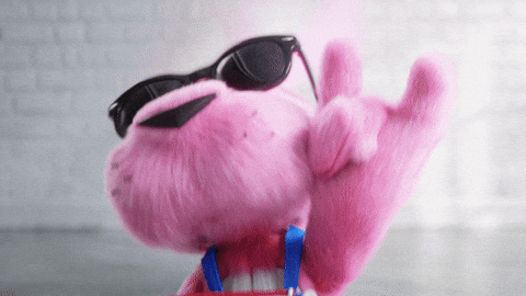 Bunny Cool GIF