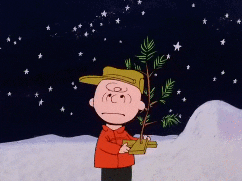 Charlie Brown exclaiming that's it