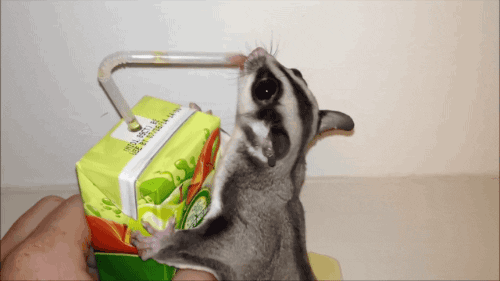 You Got The Juice | Tag | PrimoGIF