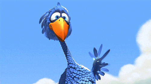 The Bird GIF