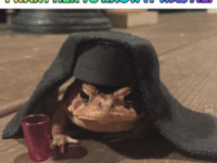 giphy