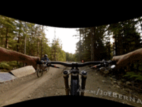 giphy