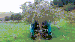 olives | Tag | PrimoGIF