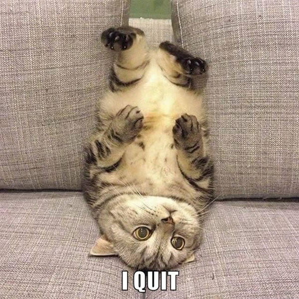 Funny Memes To Help You Quit In Style