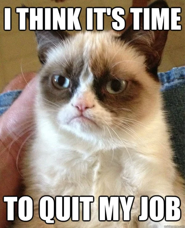 It's Time to Quit Meme