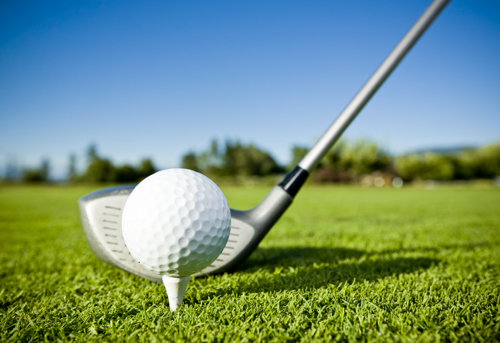 Golf Swing Dynamics