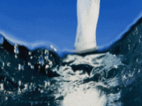 inwater_59iuja25
