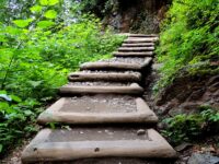 path-pathway-rock-trail-wall-step-staircase-walkway-green-color-botany-stairway-garden-ladder-climb-faith-up-woodland-water-feature-progress-1272043