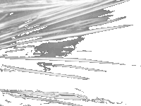 plastic-wrap-texture-png
