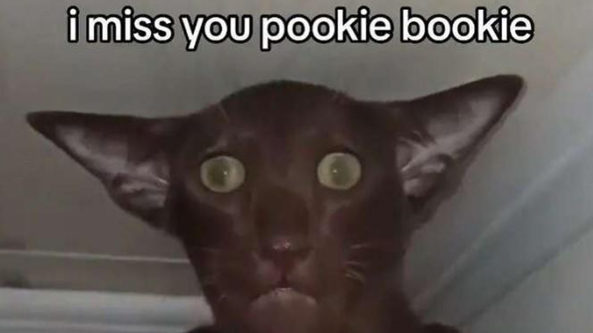 Pookie Gif from New Jack City