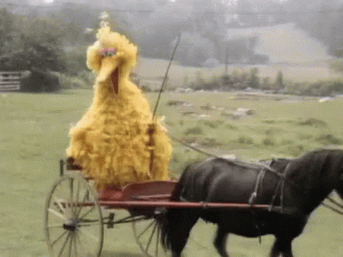 Ride Dawn GIF