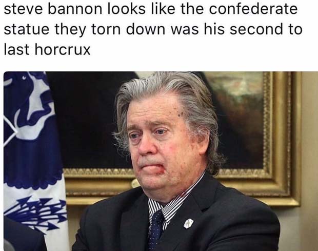 Steve Bannon ‘Fired’: All the Memes You Need to See | Heavy.com
