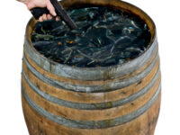 Shooting fish in a barrel, one of the more imaginative clichAs in the language.