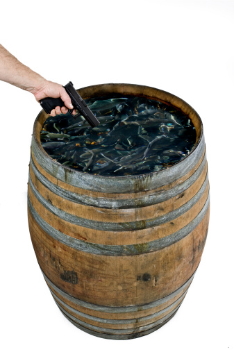 Shooting Fish in a Barrel Commercial Image