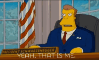 simpsons-thatsme