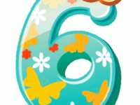 six-06
