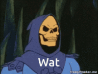 skeletor-wat