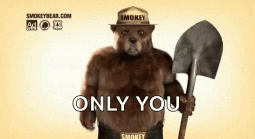 Only You Can Prevent Forest Fires Meme GIF
