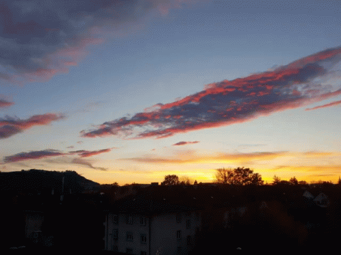 Sunshine Remember GIF