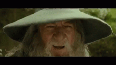 Gandalf LOTR GIF