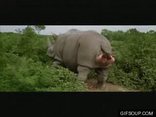 Jim Carrey Rhino GIF - JimCarrey Rhino Funny - Discover & Share GIFs