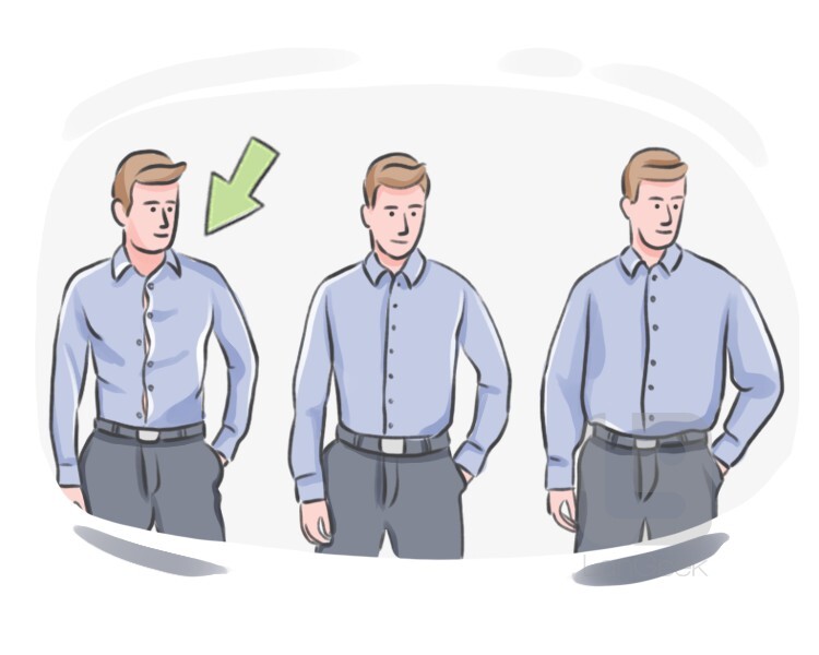 Definition & Meaning of Tight