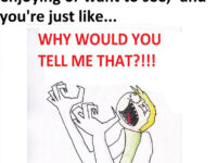 why_would_you_do_that_meme_by_bertcrafter-d6cadqd