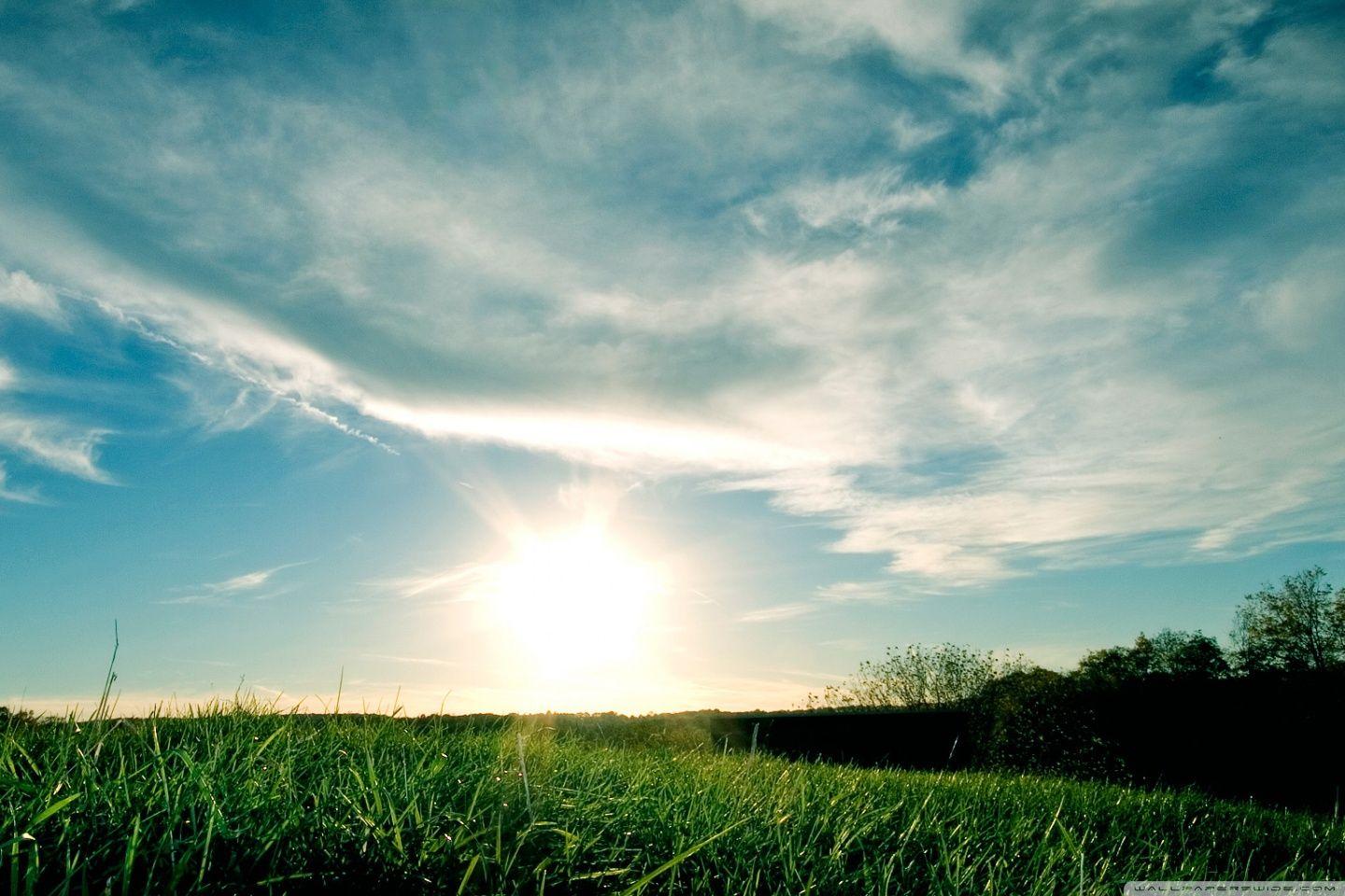 Day Wallpapers