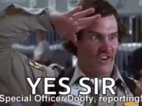 yes-sir