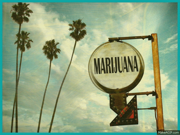 Make It Legal GIF