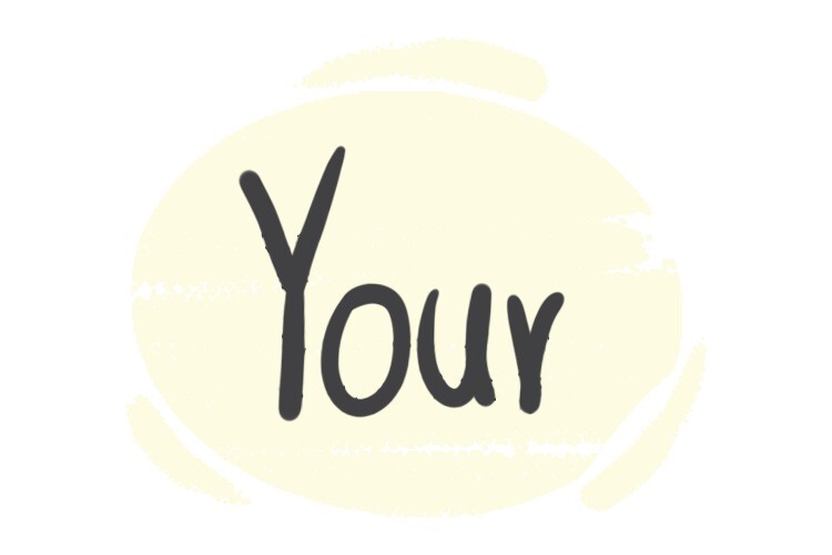 How to Use Your in the English Grammar